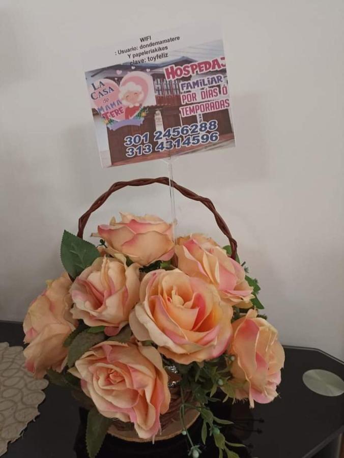 La Casa De Mama Tere Zapatoca